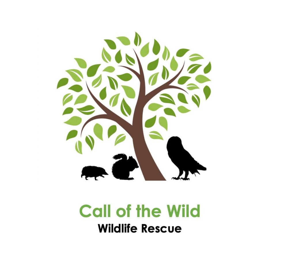 Call of the Wild Wildlife Rescue