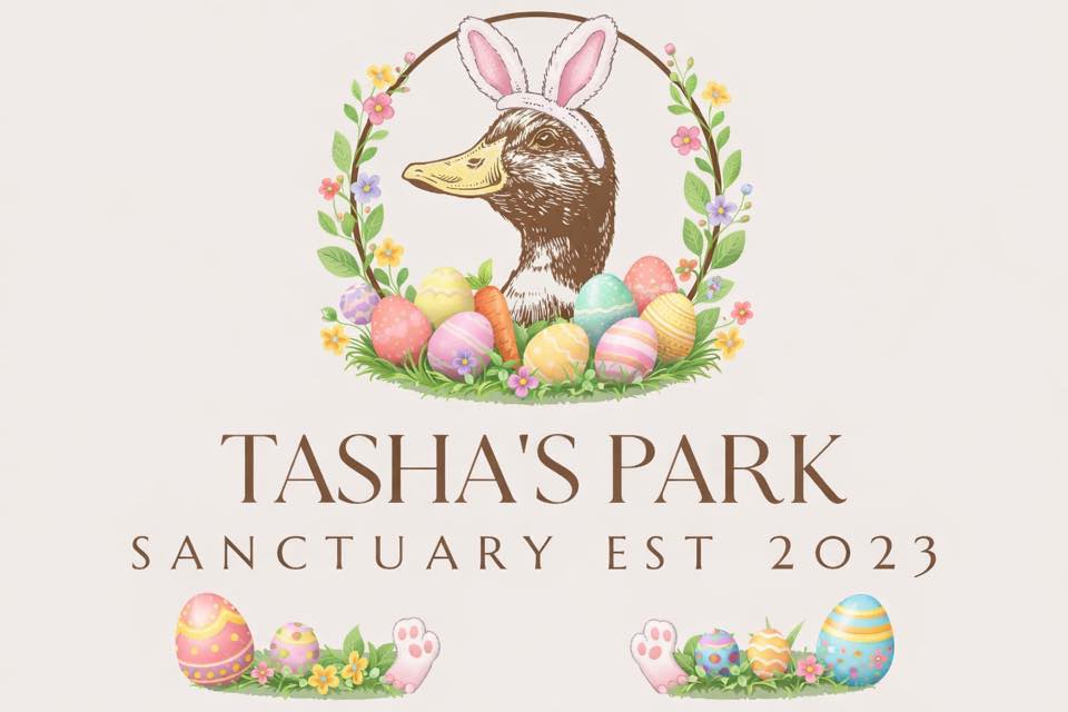 Tasha's Park Rhyl