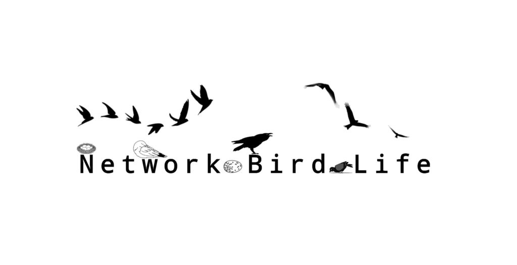 Network Bird Life