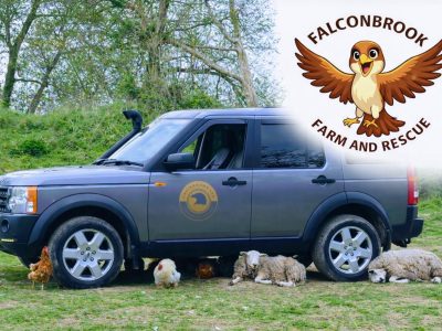 Falconbrook Farm & Rescue