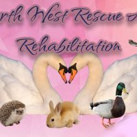 NW Wildlife Rehabilitation