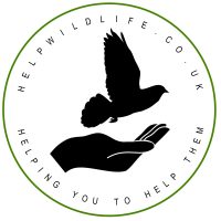 Wildlife Directory